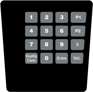 GA-ENE1705G005 Keypad Overlay