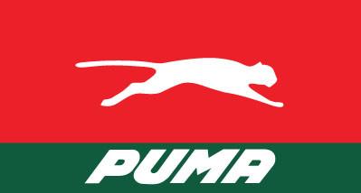 GA-888353-001-PUMA Door Skin